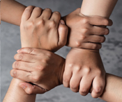 Image portraying four hands firmly grasping each other's wrists, symbolizing unity and trust